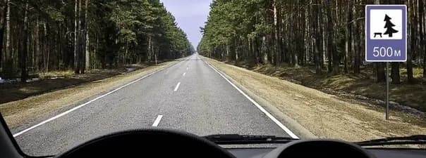 Иллюстрация к вопросу 12 билета 17